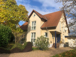 Ferienwohnung Südpfalz mit Fernblick